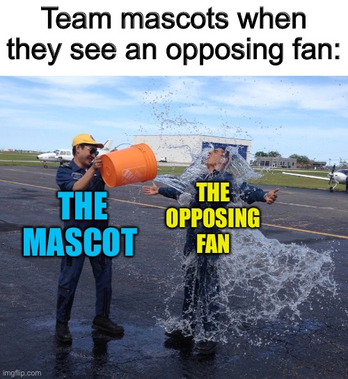 We do a little bit of trolling >:) | Team mascots when they see an opposing fan:; THE OPPOSING FAN; THE MASCOT | image tagged in futurama fry | made w/ Imgflip meme maker