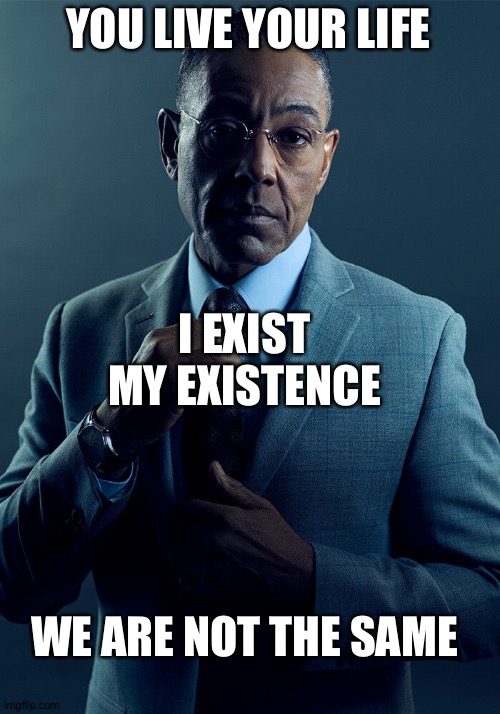 Gus Fring we are not the same | YOU LIVE YOUR LIFE; I EXIST MY EXISTENCE; WE ARE NOT THE SAME | image tagged in gus fring we are not the same | made w/ Imgflip meme maker
