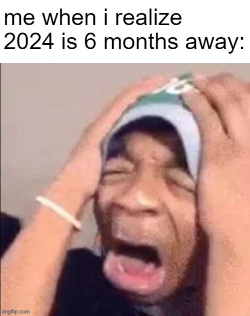 flightreacts scream | me when i realize 2024 is 6 months away: | image tagged in black guy i found on the internet,memes | made w/ Imgflip meme maker