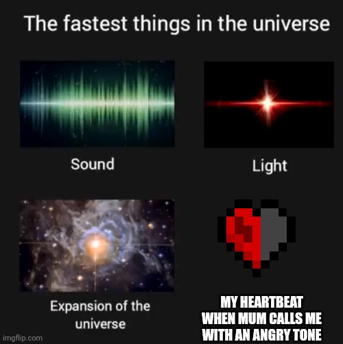 Oh god... No... Oh no... NOOOO *dies of hearth attack* | MY HEARTBEAT WHEN MUM CALLS ME WITH AN ANGRY TONE | image tagged in fastest things in the universe | made w/ Imgflip meme maker
