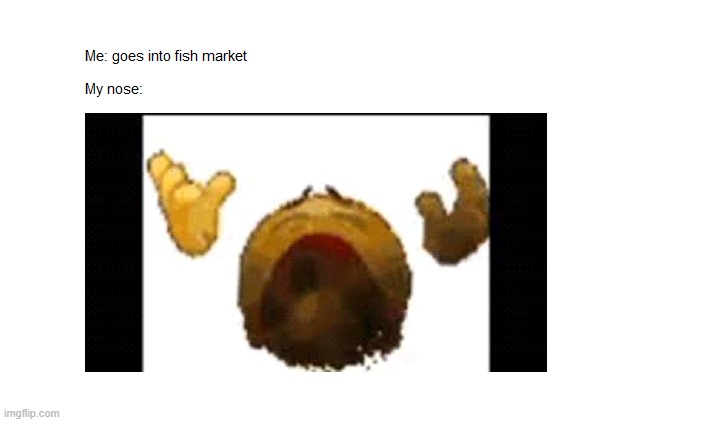 Fish Market Meme | made w/ Imgflip meme maker