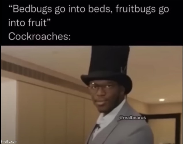 Oof | image tagged in cockroaches | made w/ Imgflip meme maker