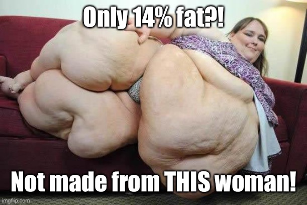 fat girl | Only 14% fat?! Not made from THIS woman! | image tagged in fat girl | made w/ Imgflip meme maker