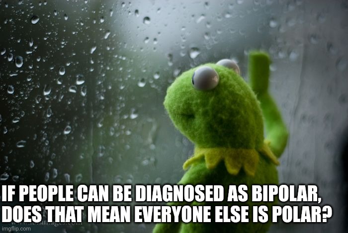 Sometimes you have to wonder about words... | IF PEOPLE CAN BE DIAGNOSED AS BIPOLAR, DOES THAT MEAN EVERYONE ELSE IS POLAR? | image tagged in kermit window,bipolar,polar,words,thinking,why not both | made w/ Imgflip meme maker