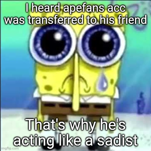 Sad Spongebob | I heard apefans acc was transferred to his friend; That's why he's acting like a sadist | image tagged in sad spongebob | made w/ Imgflip meme maker