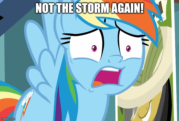 NOT THE STORM AGAIN! | made w/ Imgflip meme maker