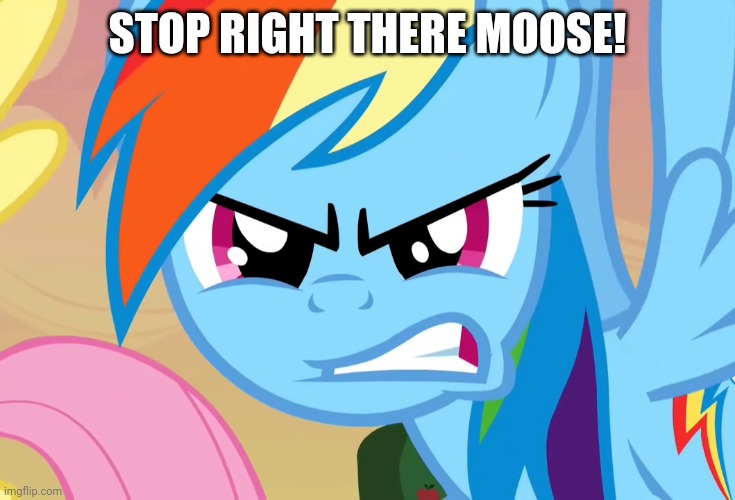STOP RIGHT THERE MOOSE! | made w/ Imgflip meme maker