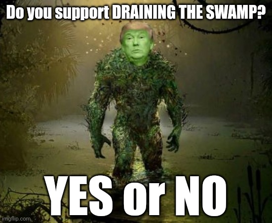 Who or what, in your inane and poorly informed personal opinion, is "the swamp"? | Do you support DRAINING THE SWAMP? YES or NO | image tagged in donald trump,drain the swamp,government corruption,dumptrump,drain the swamp trump,dumpster fire | made w/ Imgflip meme maker