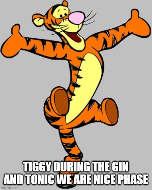 Tigger | TIGGY DURING THE GIN AND TONIC WE ARE NICE PHASE | image tagged in tigger | made w/ Imgflip meme maker