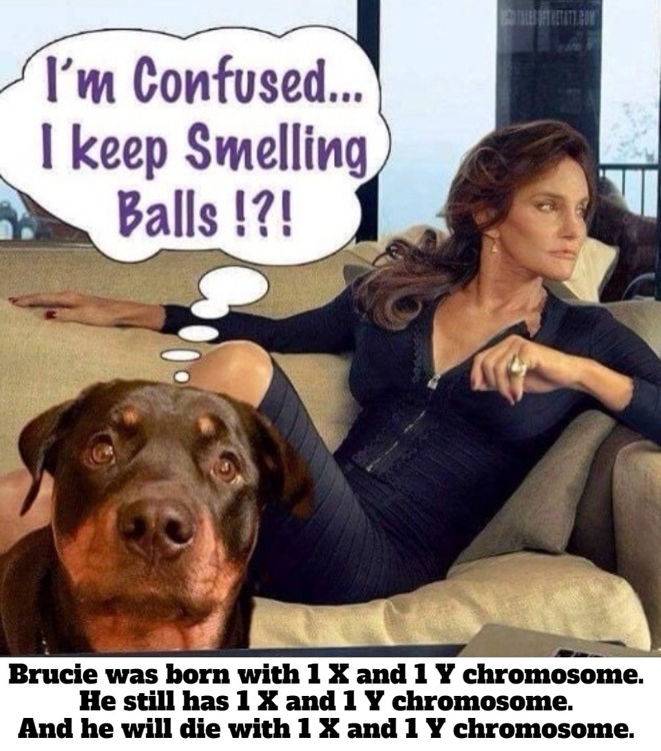 Trust the science. You can't change your DNA. | image tagged in trust the science,dna,chromosomes,special education,special kind of stupid,tired of hearing about transgenders | made w/ Imgflip meme maker