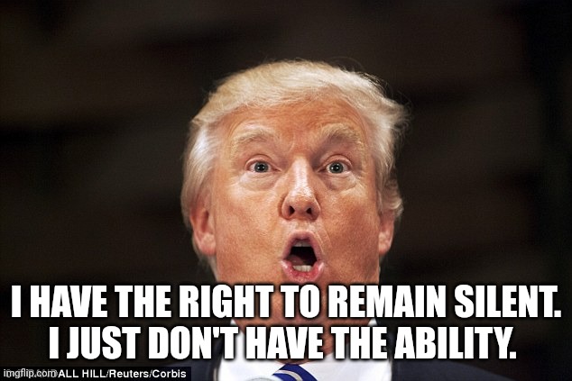 trump just can not shut up | I HAVE THE RIGHT TO REMAIN SILENT.
I JUST DON'T HAVE THE ABILITY. | image tagged in trump stupid face,dump trump,idiot,criminal | made w/ Imgflip meme maker