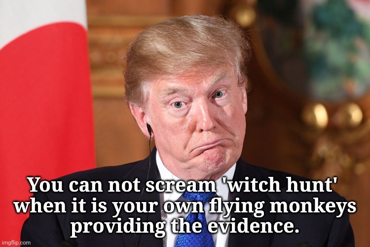 Not a witch hunt | You can not scream 'witch hunt' 
when it is your own flying monkeys
providing the evidence. | image tagged in trump stupid dumb befuddled dumbfounded out of his dapth,dump trump,criminal,justice | made w/ Imgflip meme maker