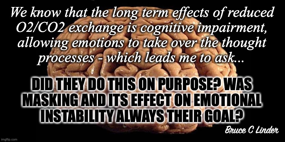 Cognitive Decline | We know that the long term effects of reduced
O2/CO2 exchange is cognitive impairment,
allowing emotions to take over the thought
processes - which leads me to ask... DID THEY DO THIS ON PURPOSE? WAS
MASKING AND ITS EFFECT ON EMOTIONAL
INSTABILITY ALWAYS THEIR GOAL? Bruce C Linder | image tagged in human brain,cognitive decline,reduced o2,increased co2,emotional instability | made w/ Imgflip meme maker