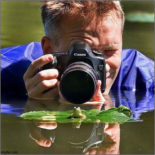 Getting The Perfect Shot ! | image tagged in photography,frog | made w/ Imgflip meme maker