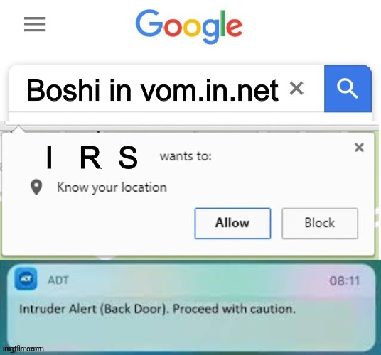 What YOU Do Is to not search this on google anymore! | Boshi in vom.in.net; I   R  S | image tagged in x wants to know your location intruder alert,mario rpg,smrpg,yoshi,boshi,nov 17 hype | made w/ Imgflip meme maker