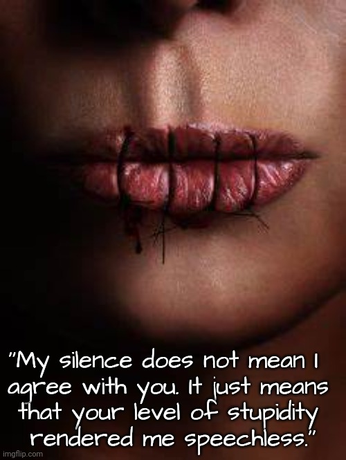 My Silence | ''My silence does not mean I  
agree with you. It just means 
that your level of stupidity 
rendered me speechless.'' | image tagged in stupid people,agree,disagree | made w/ Imgflip meme maker