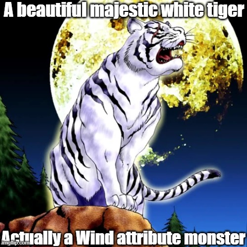 Misleading monster attribute 4 | A beautiful majestic white tiger; Actually a Wind attribute monster | image tagged in yugioh | made w/ Imgflip meme maker