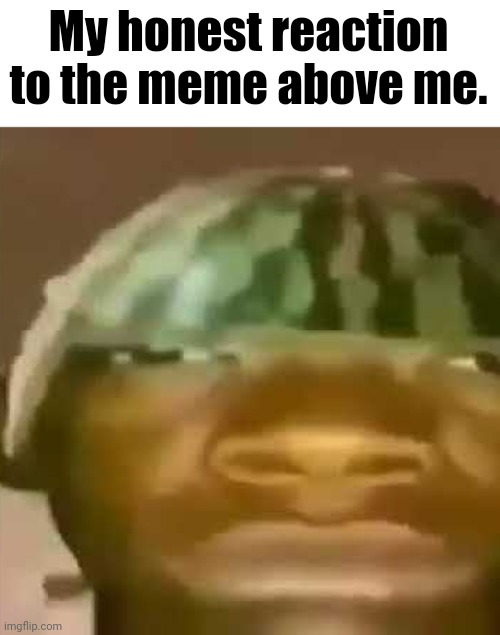 ... | My honest reaction to the meme above me. | image tagged in shitpost,memes,my honest reaction | made w/ Imgflip meme maker