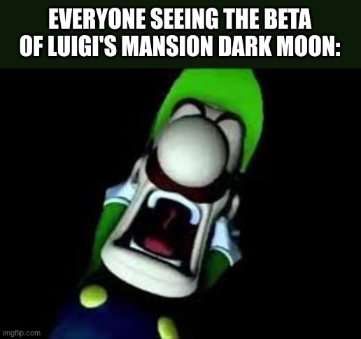 true | EVERYONE SEEING THE BETA OF LUIGI'S MANSION DARK MOON: | image tagged in luigi screaming,luigi's mansion,true | made w/ Imgflip meme maker