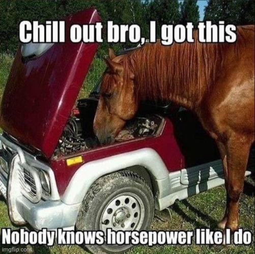 image tagged in horsepower | made w/ Imgflip meme maker