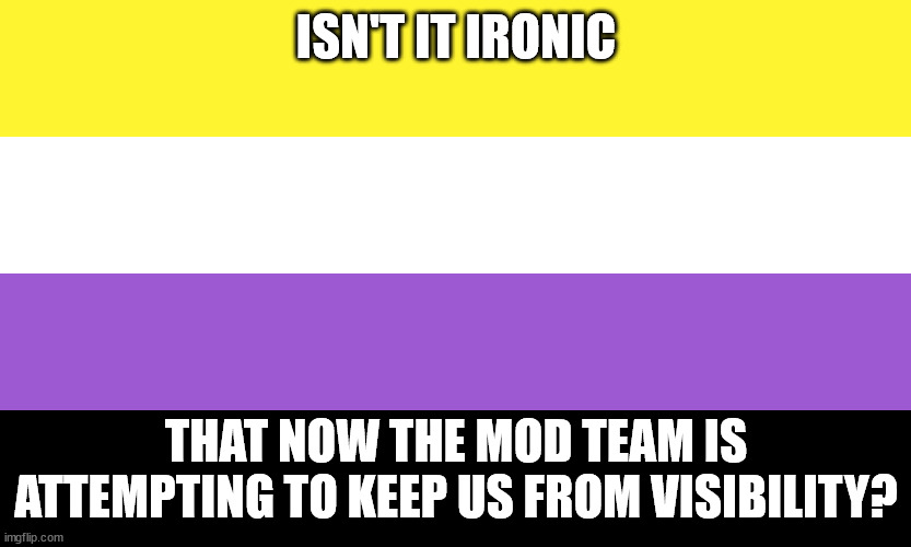 Nonbinary | ISN'T IT IRONIC; THAT NOW THE MOD TEAM IS ATTEMPTING TO KEEP US FROM VISIBILITY? | image tagged in nonbinary | made w/ Imgflip meme maker