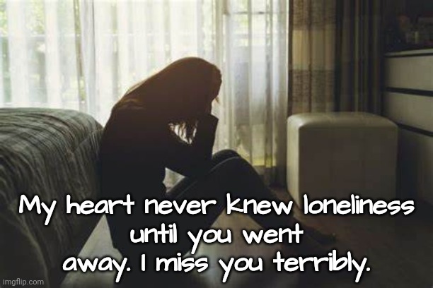 Loneliness | My heart never knew loneliness 
until you went away. I miss you terribly. | image tagged in lonely,loss | made w/ Imgflip meme maker
