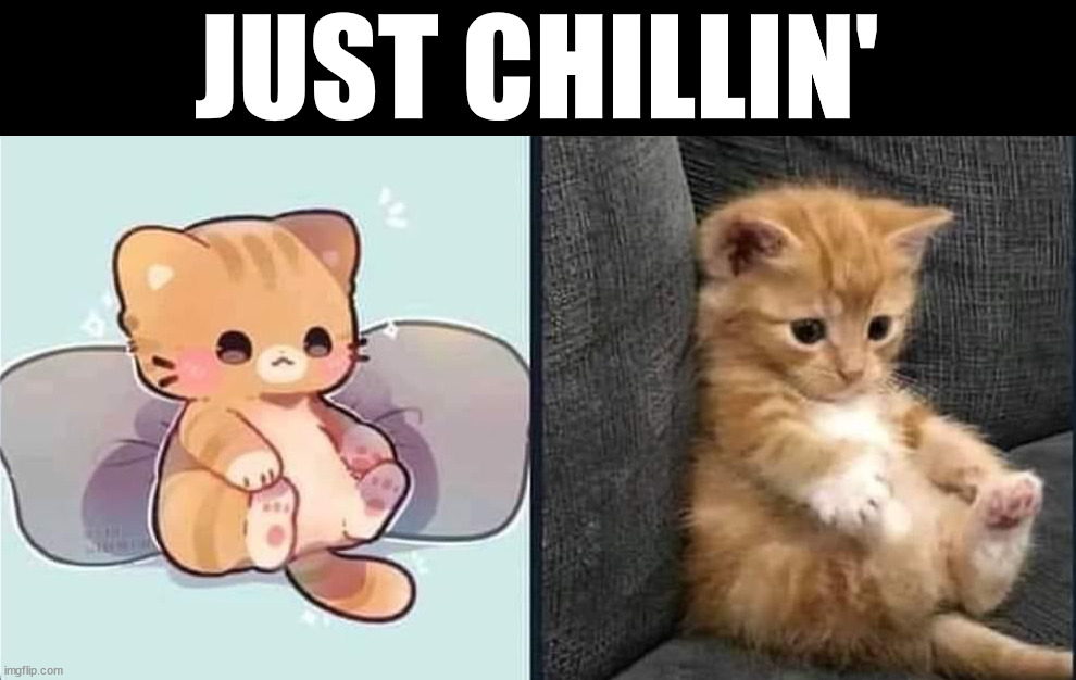 JUST CHILLIN' | made w/ Imgflip meme maker