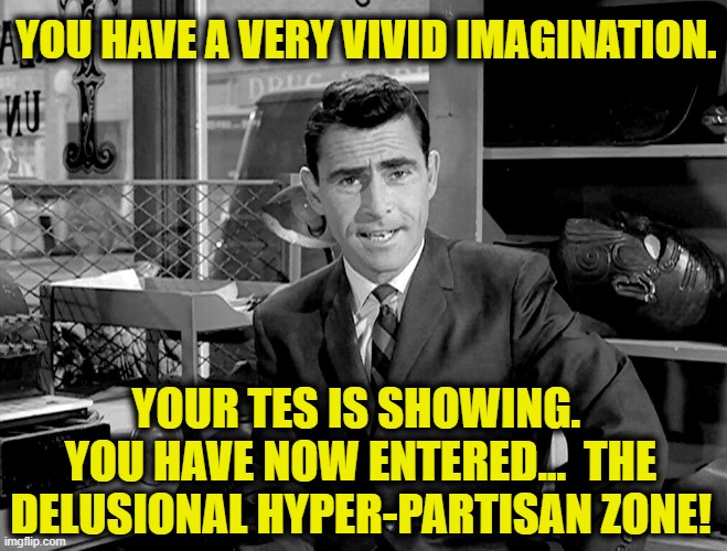 Twilight Zone | YOU HAVE A VERY VIVID IMAGINATION. YOUR TES IS SHOWING.  YOU HAVE NOW ENTERED...  THE DELUSIONAL HYPER-PARTISAN ZONE! | image tagged in twilight zone | made w/ Imgflip meme maker