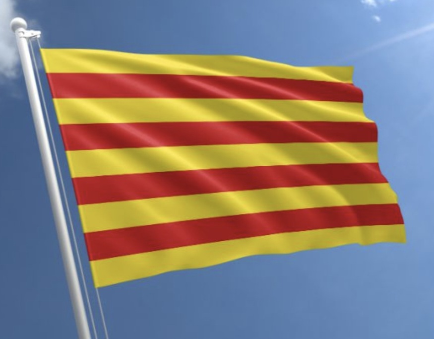 High Quality fleg Blank Meme Template