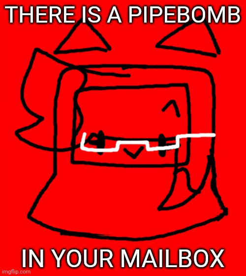 There is a pipebomb in your mailbox | THERE IS A PIPEBOMB IN YOUR MAILBOX | image tagged in bigass red blank template,idk,stuff,s o u p,carck,pipebomb in your mailbox | made w/ Imgflip meme maker