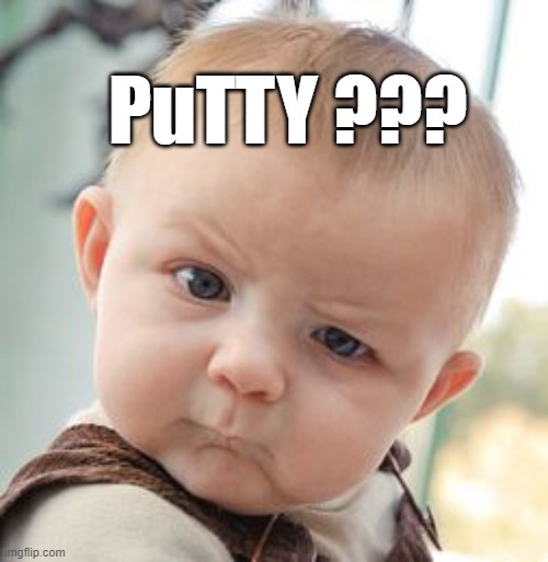 PuTTY SSH | PuTTY ??? | image tagged in memes,skeptical baby | made w/ Imgflip meme maker