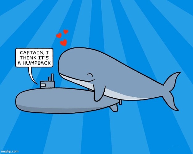 There Be Whales | image tagged in comics | made w/ Imgflip meme maker