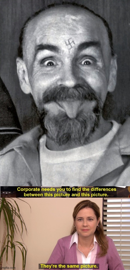 image tagged in charles manson,memes,they're the same picture | made w/ Imgflip meme maker