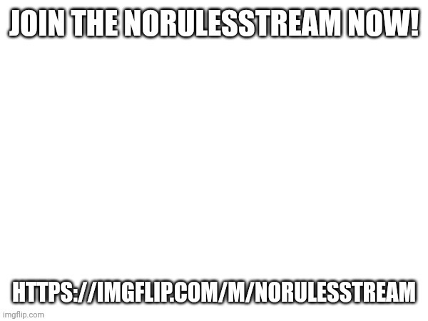 https://imgflip.com/m/NoRulesStream | made w/ Imgflip meme maker