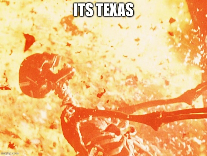 Fire skeleton | ITS TEXAS | image tagged in fire skeleton | made w/ Imgflip meme maker