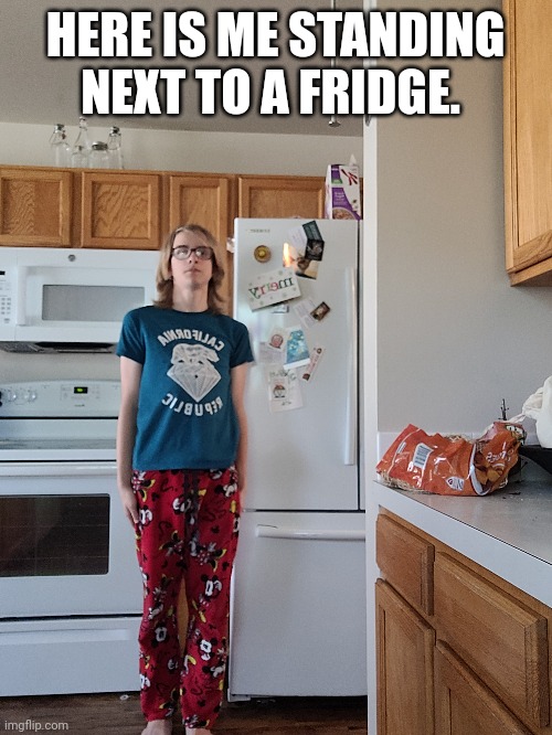 HERE IS ME STANDING NEXT TO A FRIDGE. | made w/ Imgflip meme maker