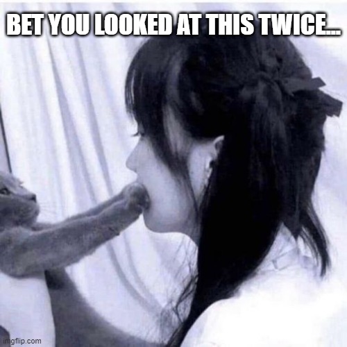Double Take | BET YOU LOOKED AT THIS TWICE... | image tagged in sex jokes | made w/ Imgflip meme maker