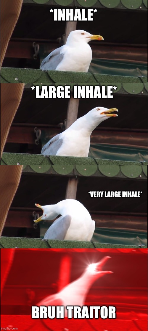 Inhaling Seagull Meme | *INHALE* *LARGE INHALE* *VERY LARGE INHALE* BRUH TRAITOR | image tagged in memes,inhaling seagull | made w/ Imgflip meme maker