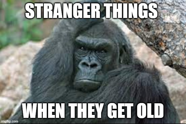 stranger things gorilla | STRANGER THINGS; WHEN THEY GET OLD | image tagged in bruh | made w/ Imgflip meme maker