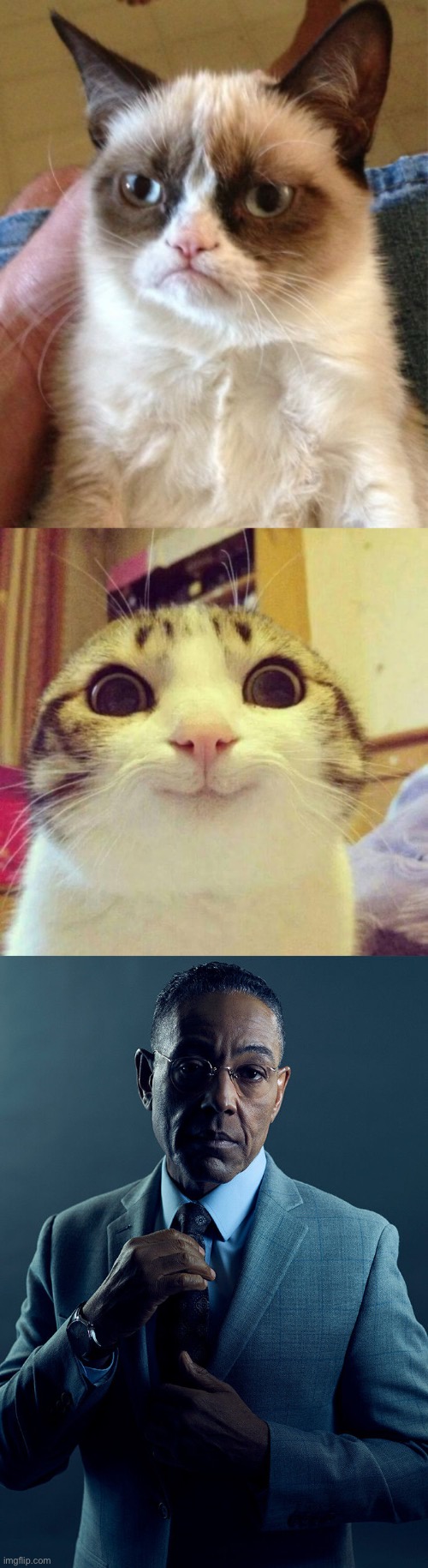 image tagged in memes,grumpy cat,smiling cat,gus fring we are not the same | made w/ Imgflip meme maker