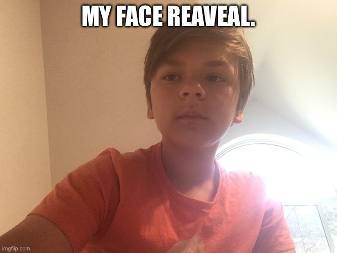 face_reveal_time_boi ally-cat45's face reveal Memes & GIFs - Imgflip