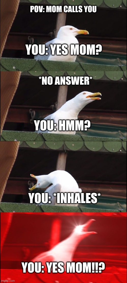 Inhaling Seagull | POV: MOM CALLS YOU; YOU: YES MOM? *NO ANSWER*; YOU: HMM? YOU: *INHALES*; YOU: YES MOM!!? | image tagged in memes,inhaling seagull | made w/ Imgflip meme maker