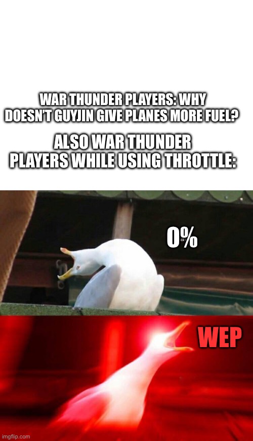 WAR THUNDER PLAYERS: WHY DOESN’T GUYJIN GIVE PLANES MORE FUEL? ALSO WAR THUNDER PLAYERS WHILE USING THROTTLE:; 0%; WEP | image tagged in blank white template,inhaling seagull | made w/ Imgflip meme maker