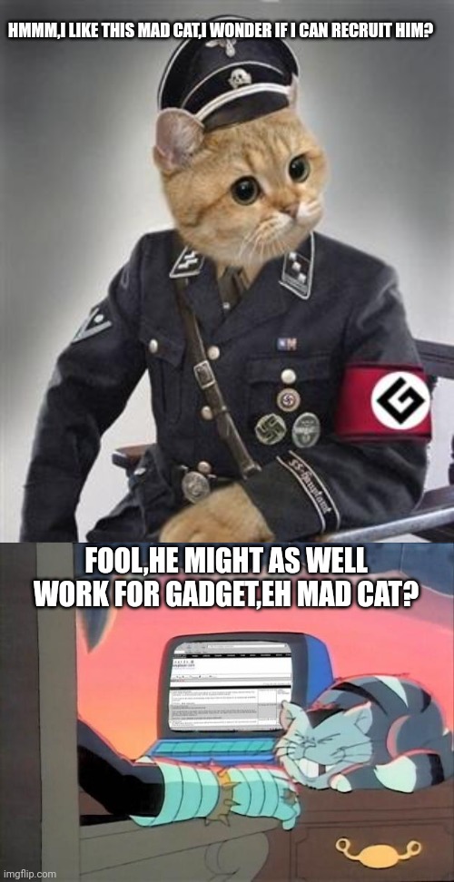 HMMM,I LIKE THIS MAD CAT,I WONDER IF I CAN RECRUIT HIM? FOOL,HE MIGHT AS WELL WORK FOR GADGET,EH MAD CAT? | image tagged in grammar nazi cat,dr claw | made w/ Imgflip meme maker