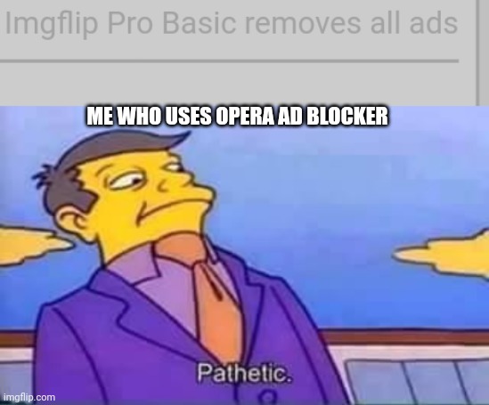 Hac | ME WHO USES OPERA AD BLOCKER | image tagged in skinner pathetic | made w/ Imgflip meme maker