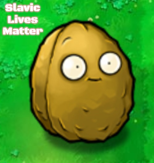 Wall-Nut | Slavic Lives Matter | image tagged in wall-nut,slavic | made w/ Imgflip meme maker