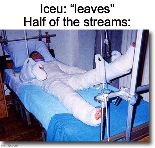 This annoys me to death | Iceu: “leaves"
Half of the streams: | image tagged in broken | made w/ Imgflip meme maker