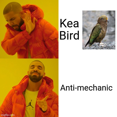 Anti-mechanic | Kea Bird; Anti-mechanic | image tagged in memes,drake hotline bling | made w/ Imgflip meme maker