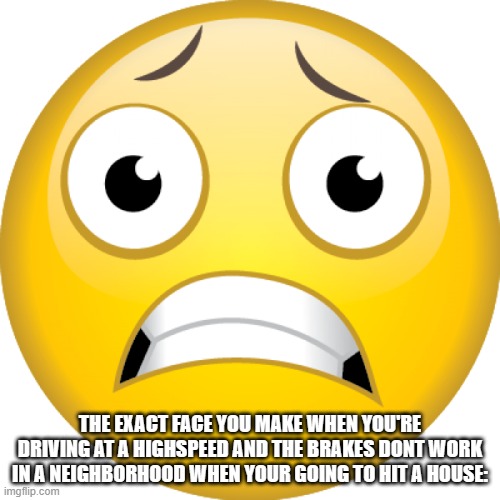 what face you make when the brakes dont work | THE EXACT FACE YOU MAKE WHEN YOU'RE DRIVING AT A HIGHSPEED AND THE BRAKES DONT WORK IN A NEIGHBORHOOD WHEN YOUR GOING TO HIT A HOUSE: | image tagged in bruh moment | made w/ Imgflip meme maker