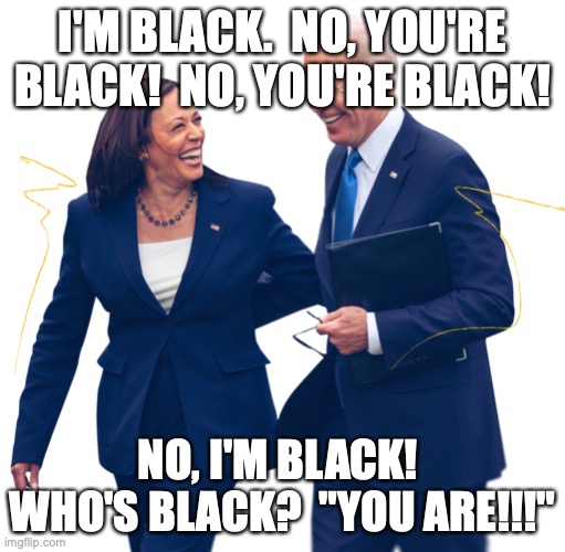 I'm Black No You're Black! | I'M BLACK.  NO, YOU'RE BLACK!  NO, YOU'RE BLACK! NO, I'M BLACK!  WHO'S BLACK?  "YOU ARE!!!" | image tagged in joe biden,vp harris | made w/ Imgflip meme maker